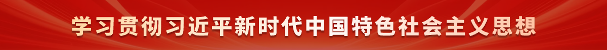 学习贯彻习近平新时代中国特色社会主义思想